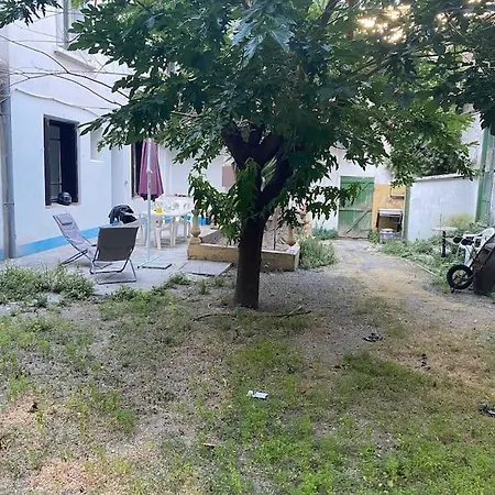 Appt 4 Pers Avec Jardin Ombrage En Centre De Apartment